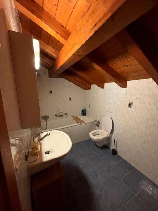 Swiss Chalet - Mountain And Lake View Blonay Extérieur photo